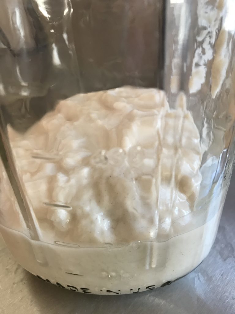 Sourdough Starter Can Be Tricky