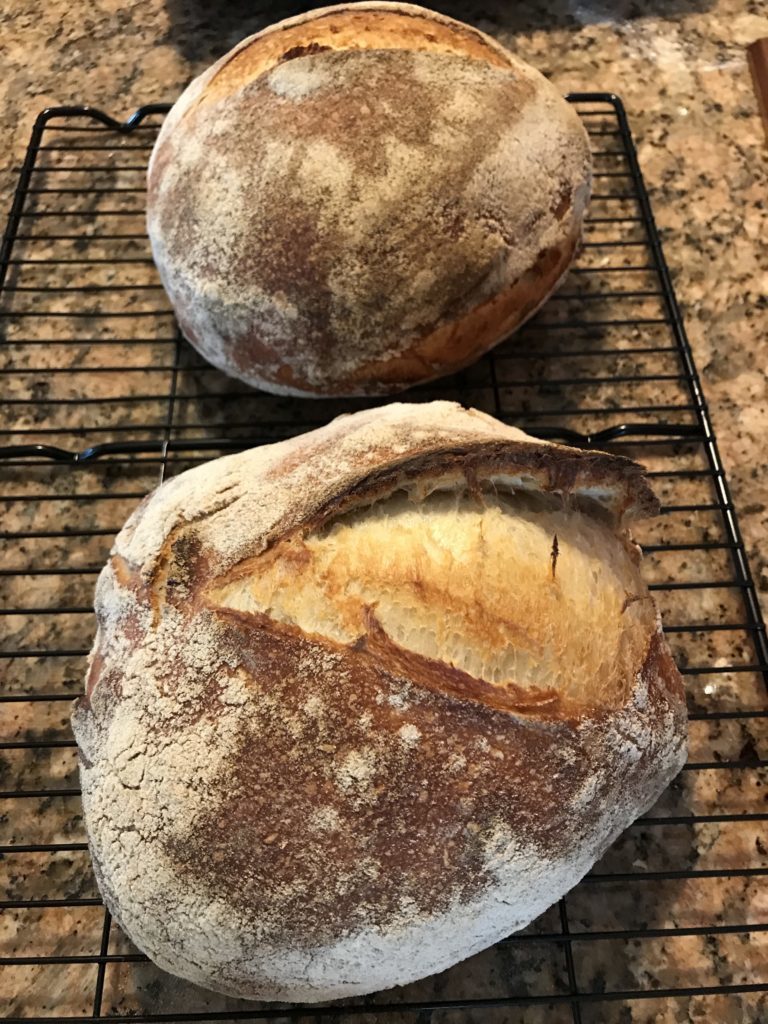 Sourdough Bread 101