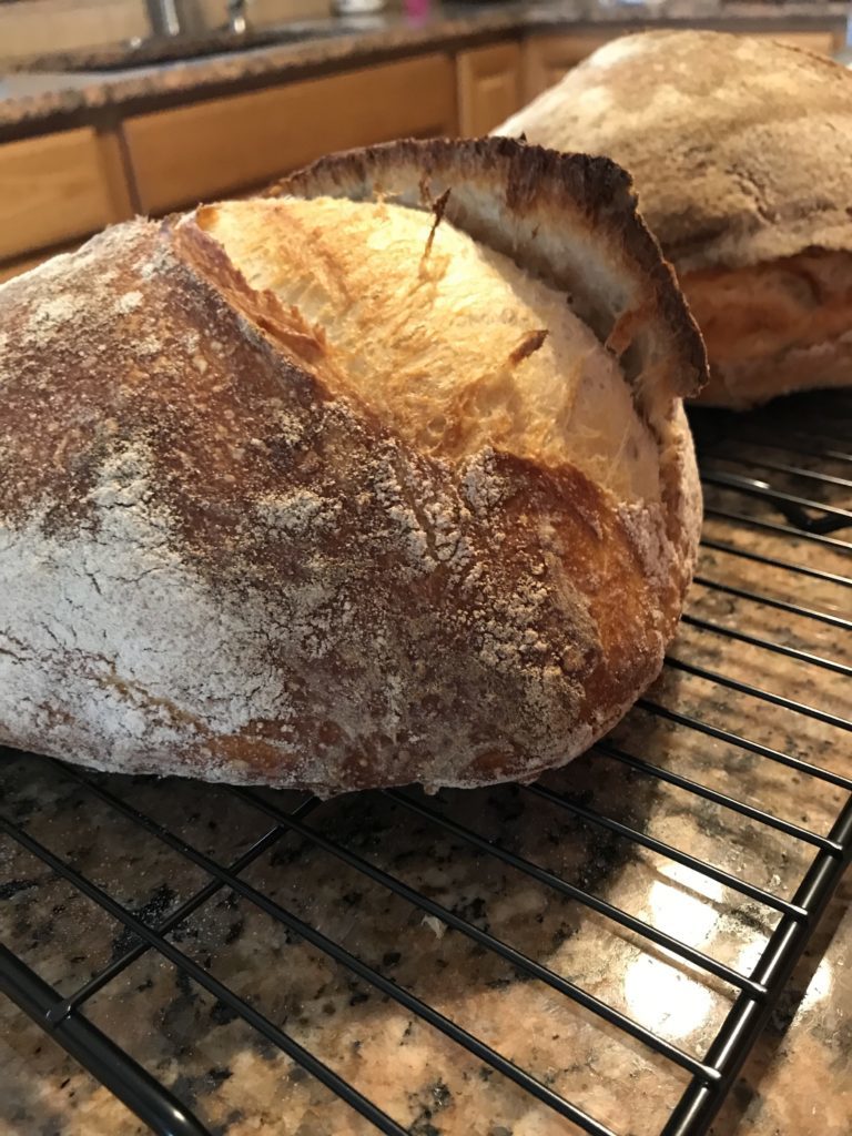 Sourdough Bread 101