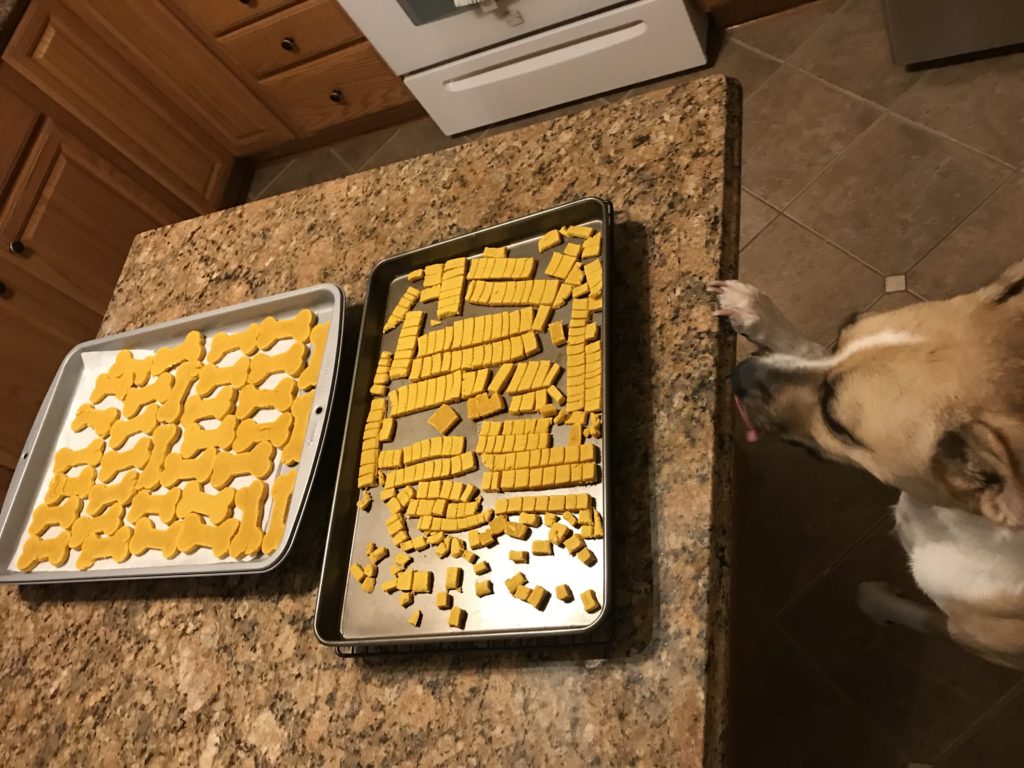 3 Ingredient Dog Biscuits