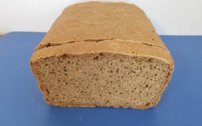 No Kneading 100% Whole Wheat Bread Recipe