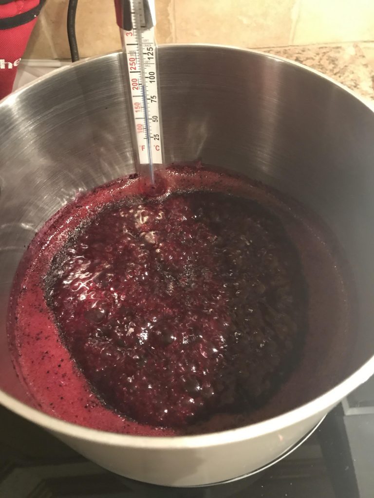 make simple blueberry jam