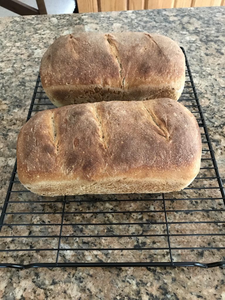 Homemade Bread will not