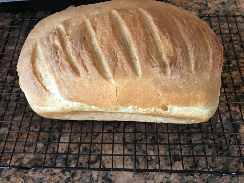 Homemade Bread will not