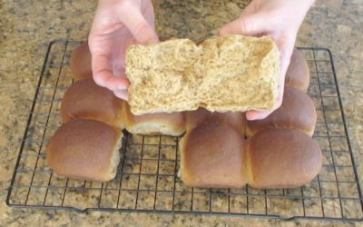 Wholesome and Hearty 100% Whole Wheat Rolls