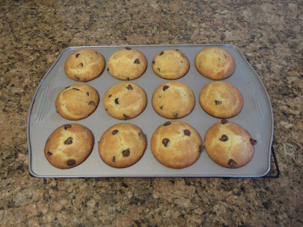 chocolate chip muffins