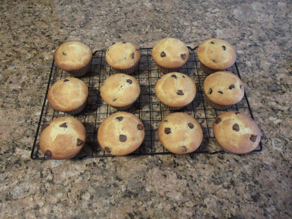 chocolate chip muffins