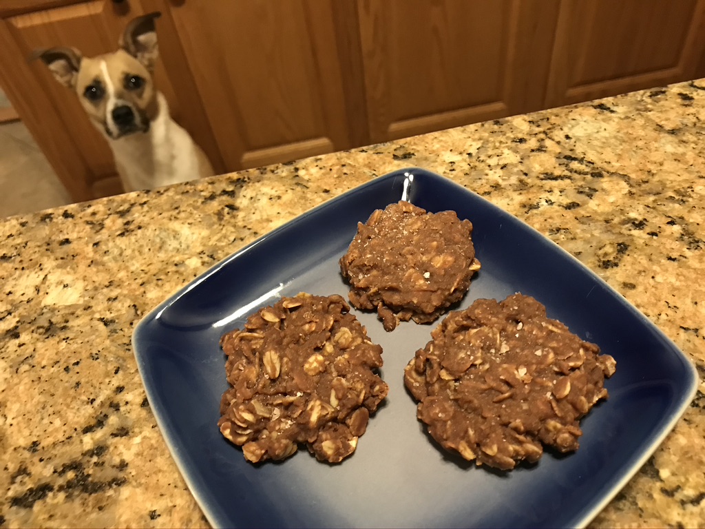 Mom's Magnificent No Bake Cookies