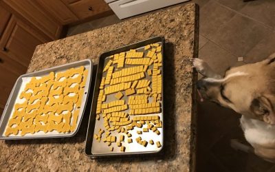 3 Ingredient Pumpkin Dog Biscuits