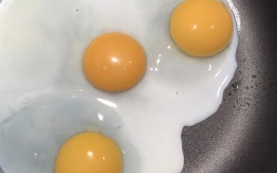 A Dark Egg Yolk Doesn’t Make an Egg Healthier