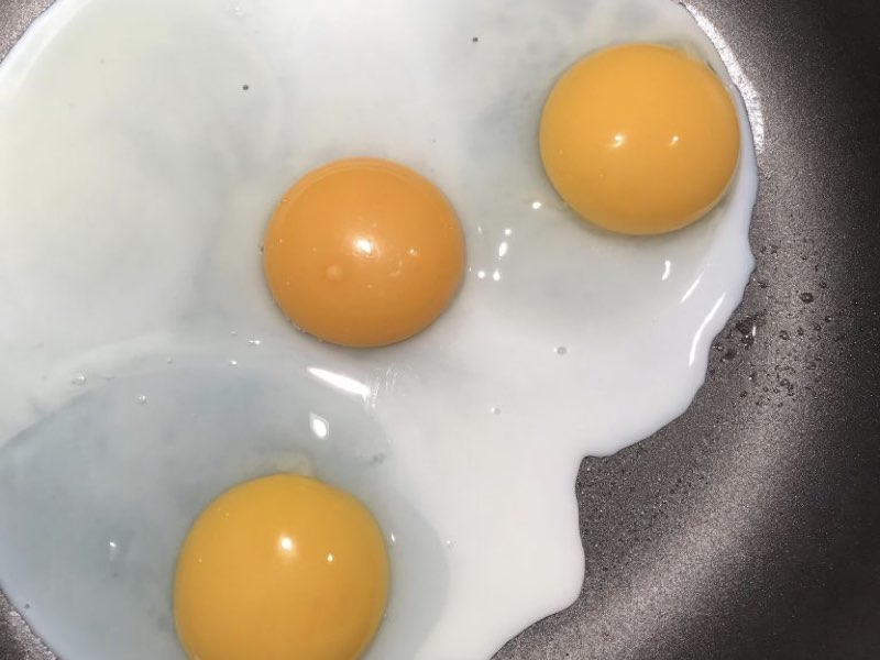 dark egg yolk