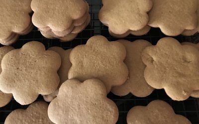 Spicy Gingerbread Cookies for Fall Baking