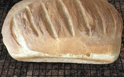 Homemade Bread Will Not Look Like Store Brands