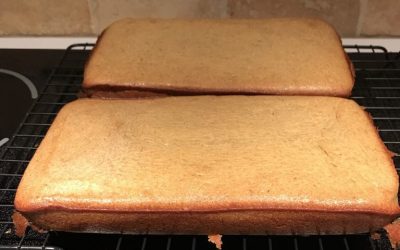 Quick Bread Disaster Reveals the Need of Baking Powder