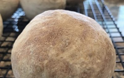 Shaping Bread Rolls Can Be Easy