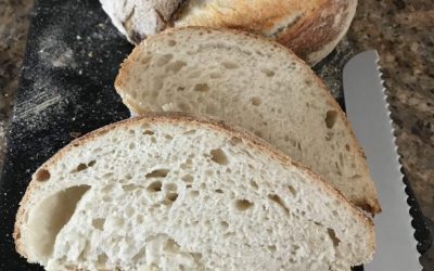 Sourdough Bread 101: An Introduction to Bread Making