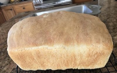 Simply Sensational Sourdough Bread for Beginners