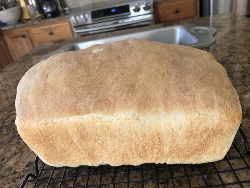 sensational Sourdough Bread for Beginners