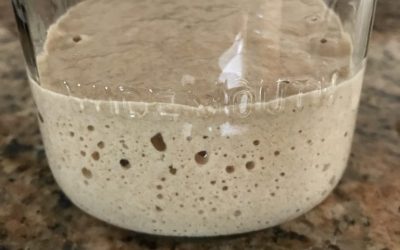 A Beginner’s Guide to a Simple Sourdough Starter