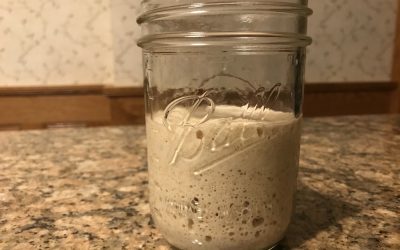 Beginners Guide:  How to Make Yeast with Minimal Flour