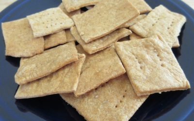 Simply Delicious Spicy Sourdough Crackers