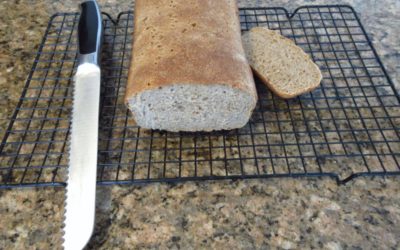 No-Knead Whole Wheat Sourdough Bread