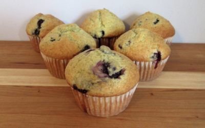 Blueberry Muffins are Perfect for the Beginner