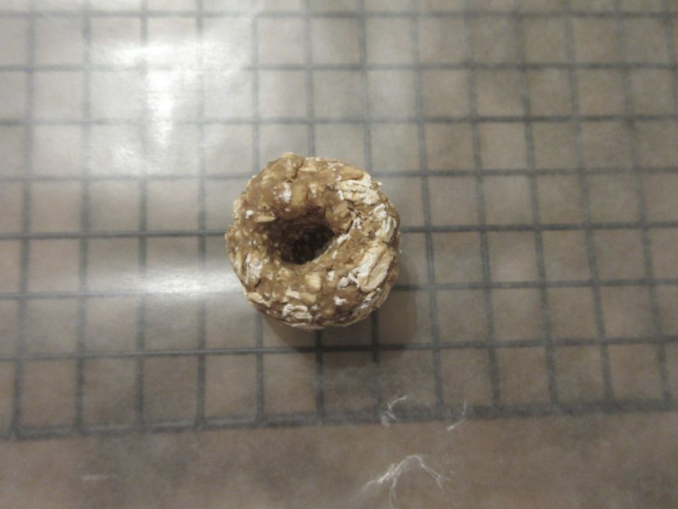 Pill Camo Horse Treats By Nicker Bait – Hide Pills In Delicious Horse Snacks (Made In USA)