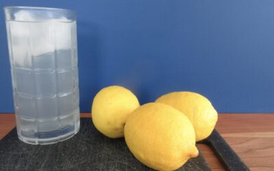 Single Serving Lemonade Recipe for One